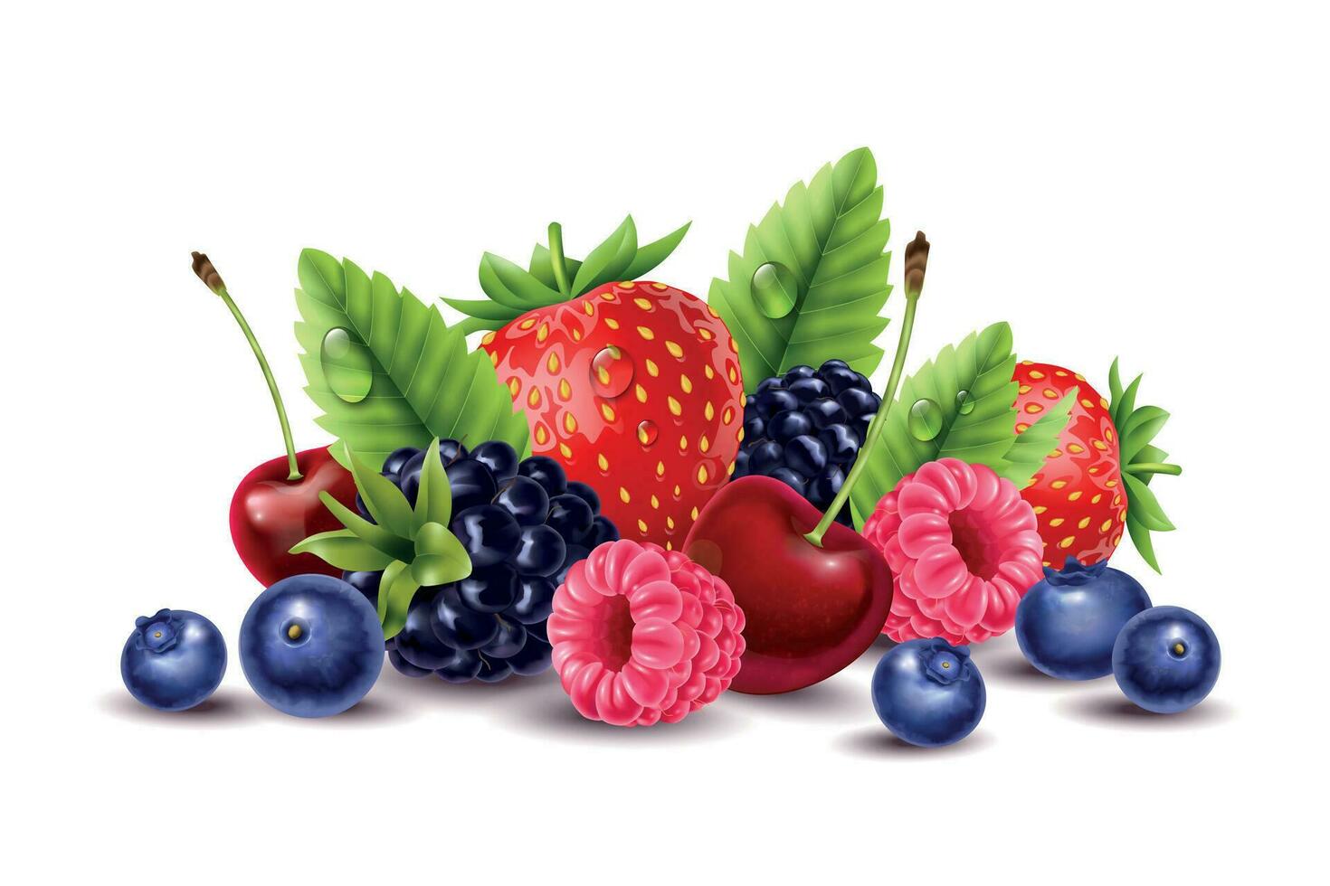 Realistic Berries Bunch Composition vector
