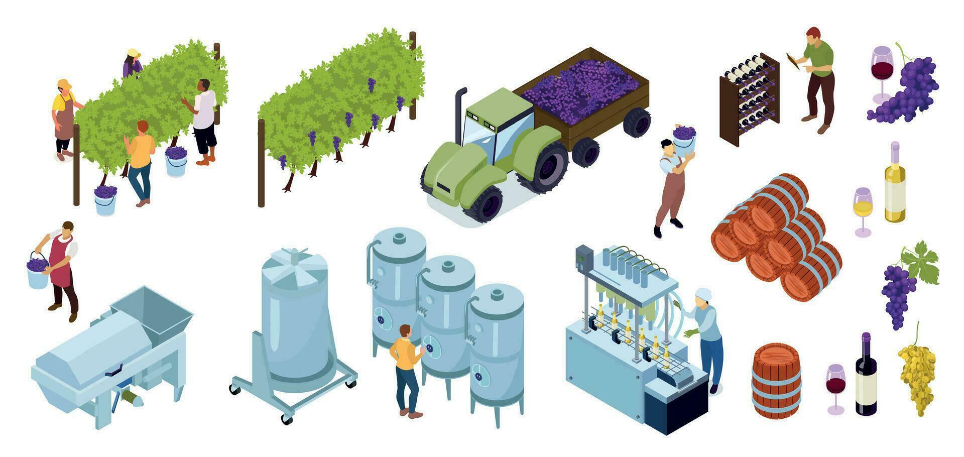 Isometric Vineyard Wine Production Set vector