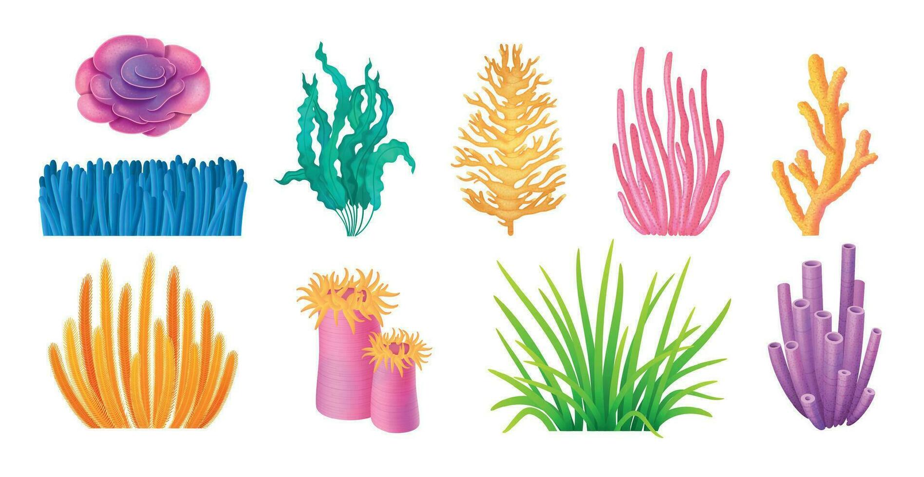 Coral Reefs Set vector