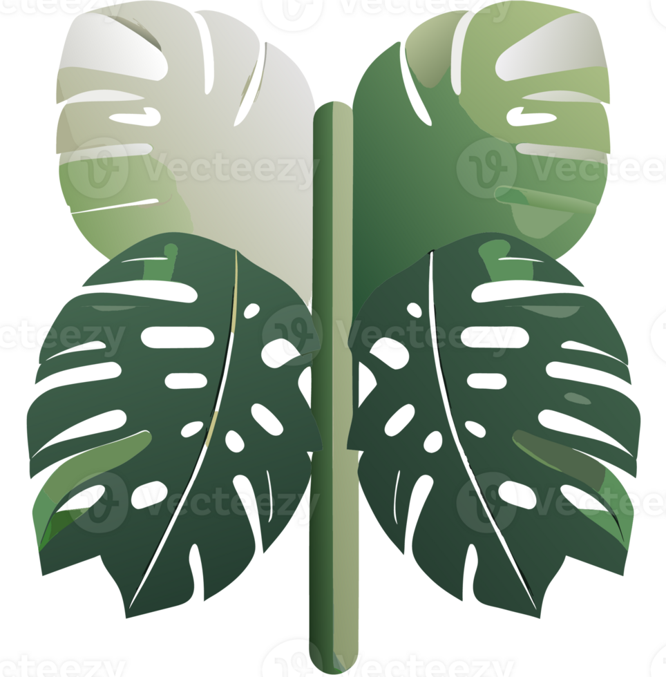 Monstera deliciosa leaves Window Plant icon transparent background generative ai AI generated png