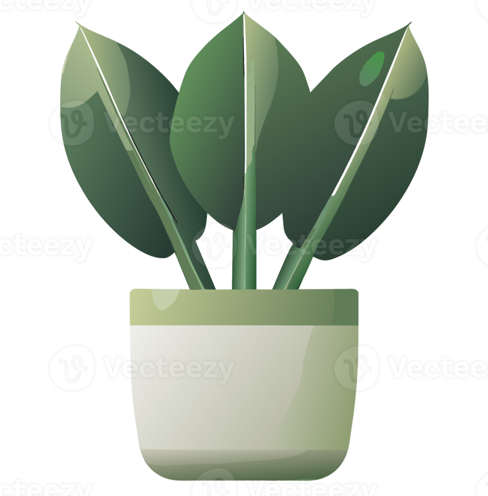 Monstera deliciosa leaves Window Plant icon transparent background png