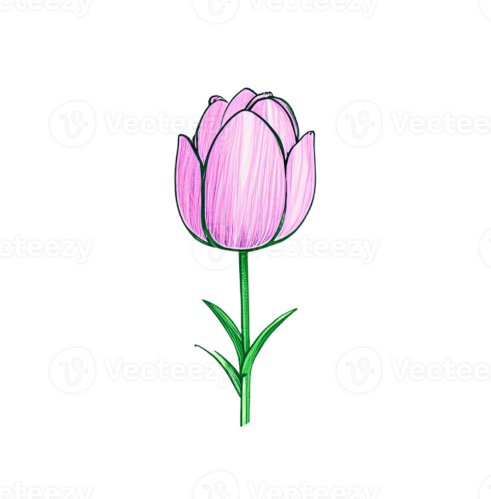 Hand drawn pink tulip flowers pattern icon transparent background png