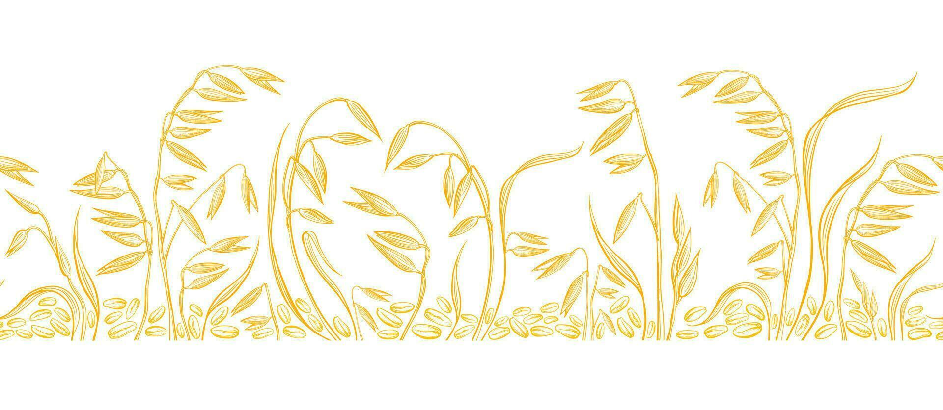 Oats grain field border. Hand drawn vector sketch