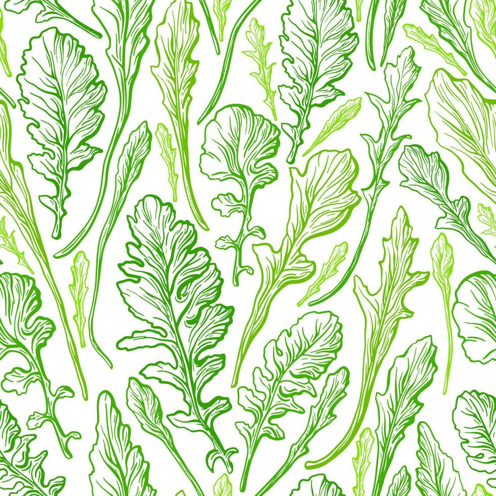 Arugula texture seamless pattern. Fresh green leaf vector