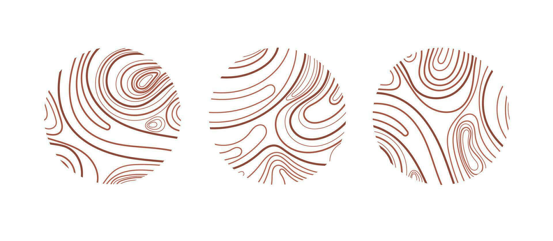 Wood texture circle set Topographic line Tree ring vector