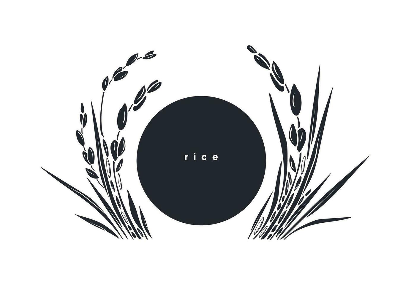 Rice template. Vector paddy field, grains. Graphic
