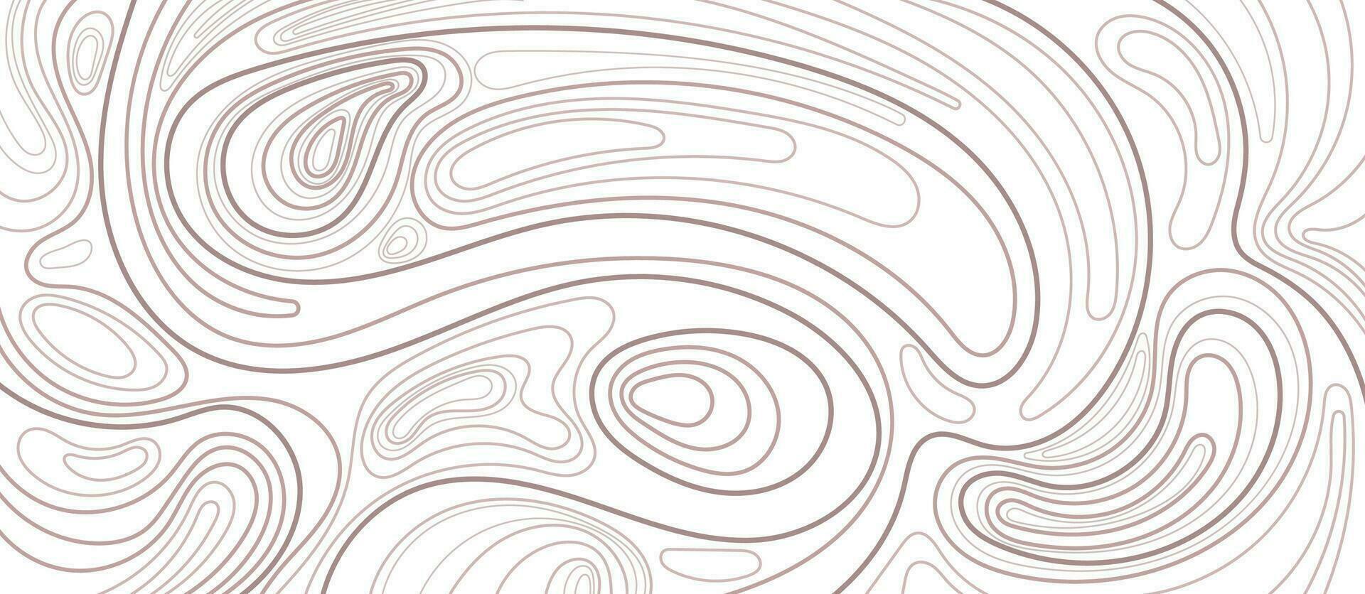 Topographic contour lines Abstract map, background vector