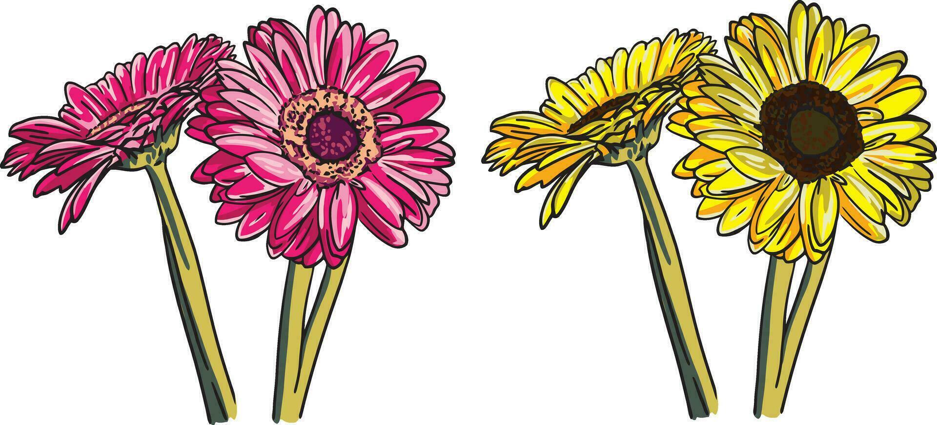 Vector flower artwork. Colored by layers