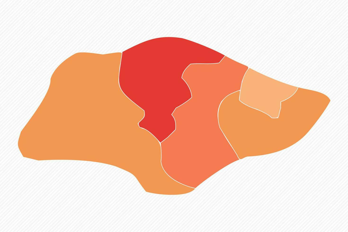 Colorful Singapore Divided Map Illustration vector