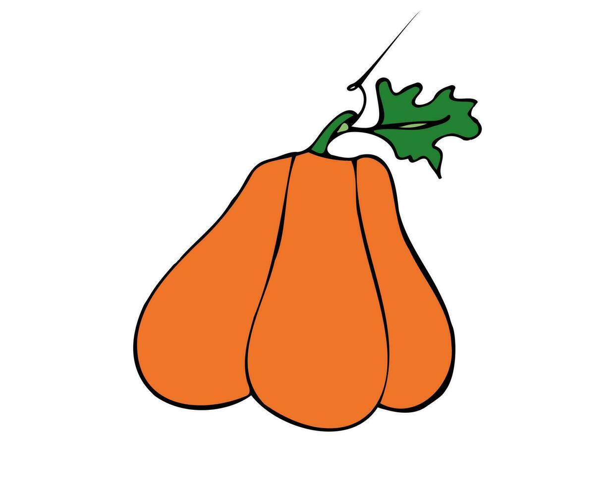 Vector illustration hand drawn pumpkin. Autumn, fall. Harvest festival. Halloween. Thanksgiving. Icon, doodle. Isolated.