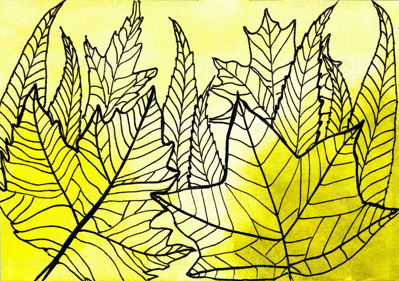 Pattern of leaves on watercolor background, grass, foliage, watercolor ink pen drawing. Forest. Autumn, fall, silhouette photo