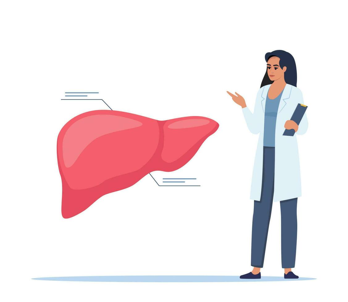 Doctor gives a training lecture about anatomy. Doctor presenting human liver infographics. Medical seminar, lecture, healthcare meeting concept. Vector illustration.