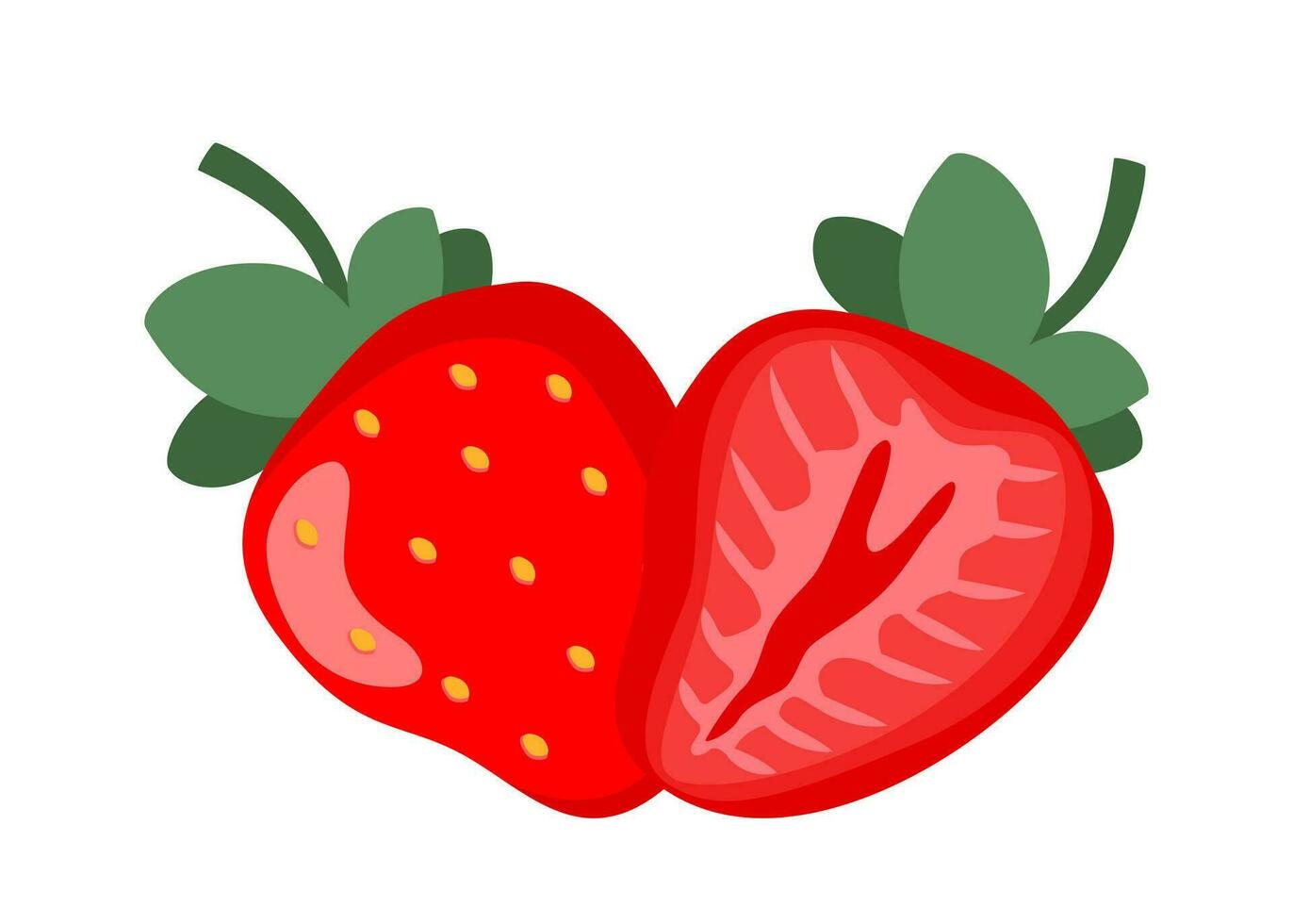 Natural strawberry. Fresh farm organic berry. Juicy sweet strawberries. Vector illustration.