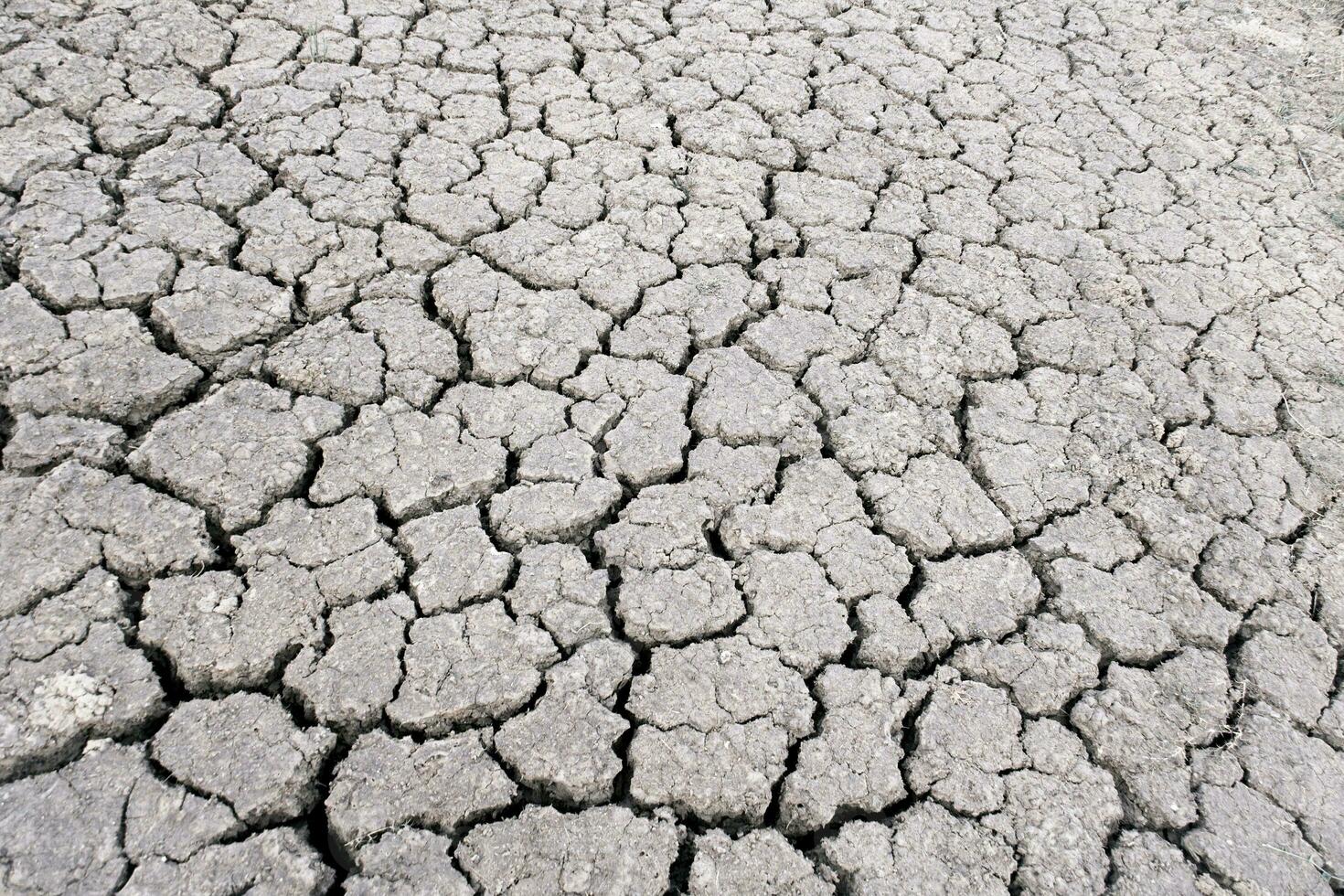 Abstract and desolate land blackground. photo