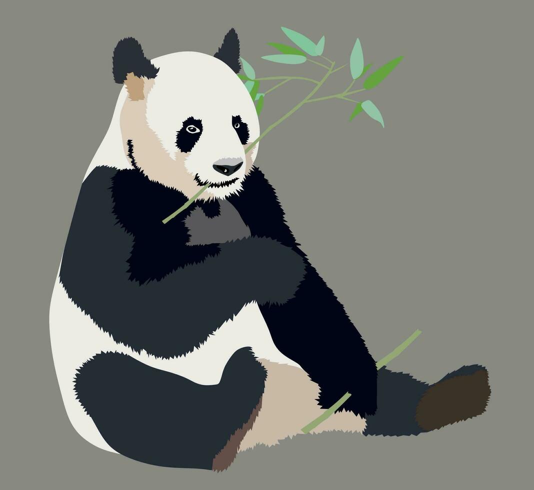 realista grande panda sentado y comiendo bambú aislado ilustración vector
