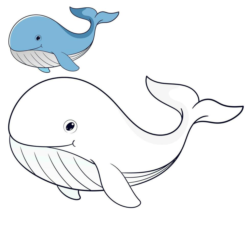 Whale Coloring Page Colored Illustration. cartoon whale character for children, coloring and scrap book vector