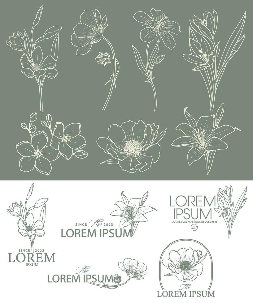 botánico flor silvestre logo mano dibujado vector conjunto