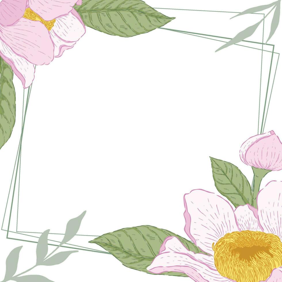 Botanical hand drawn gustavia flower illlustration frame vector
