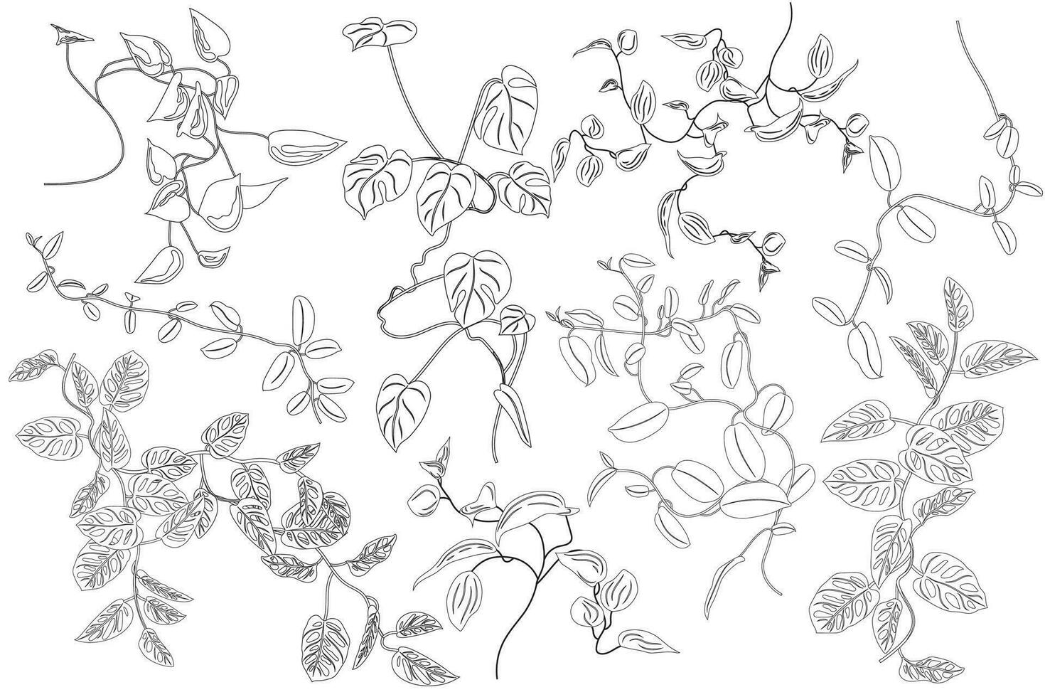 Coloring with tropical greenery set. Creepers, flowers. Monstera, philodendron, hoya. Stickers, clipart vector