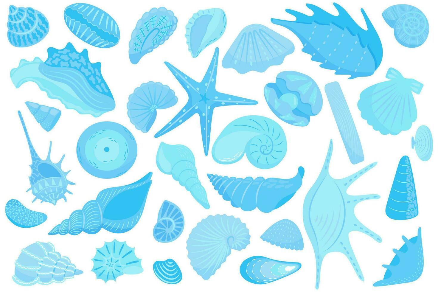 Set of various blue sea shells. Starfish, shellfish, underwater world vector