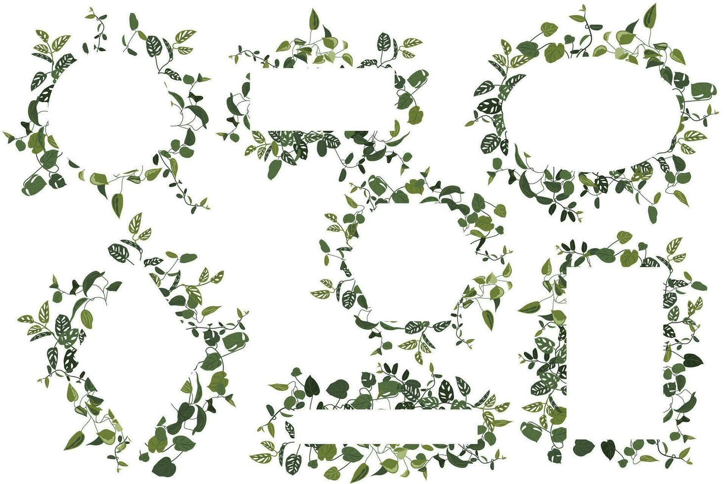 Set of frames with tropical greenery. Postcard, label, sticker. creepers border vector