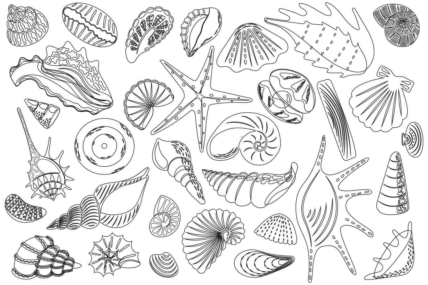 conjunto de colorante con varios conchas marinas estrella de mar, mariscos, submarino mundo vector