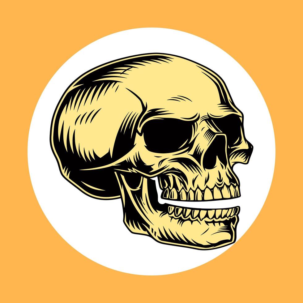 Clásico calaveras conjunto aislado. mano dibujado línea Arte vector ilustración. cráneo Clásico diseño para camisetas pegatinas y similar productos foto