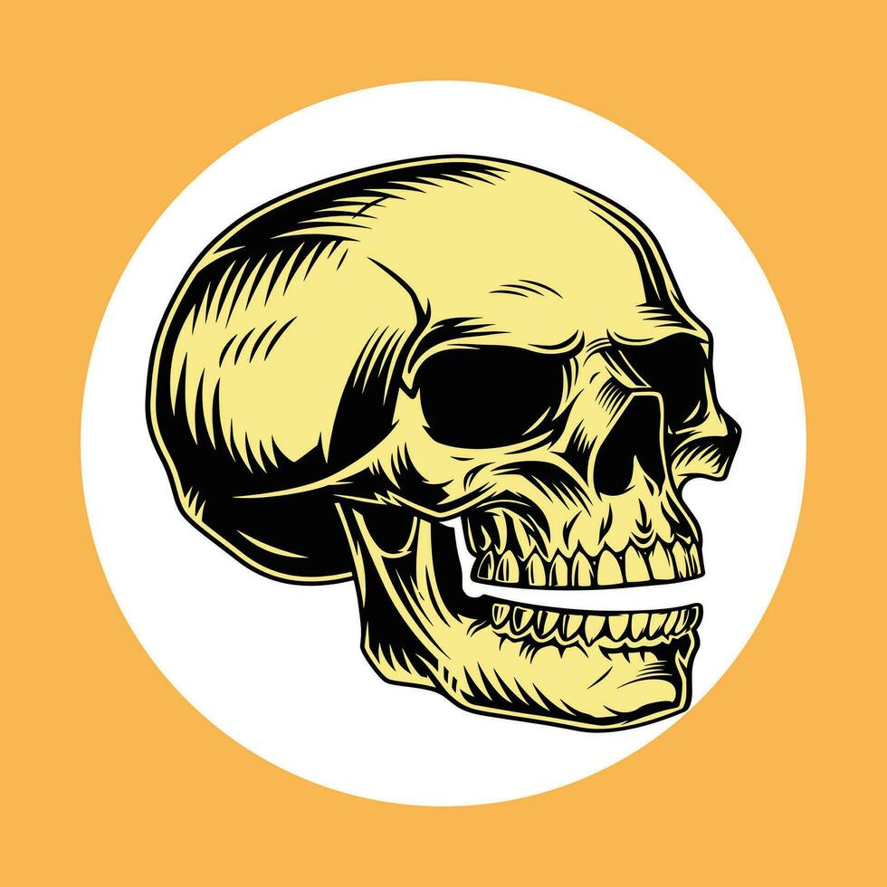 Clásico calaveras conjunto aislado. mano dibujado línea Arte vector ilustración. cráneo Clásico diseño para camisetas pegatinas y similar productos