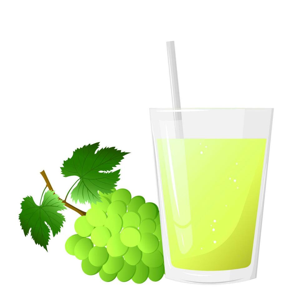 Glass of grape juice and bunch of green grapes isolated on white background. For labels, menus, poster, print, or packaging design. Vector illustration