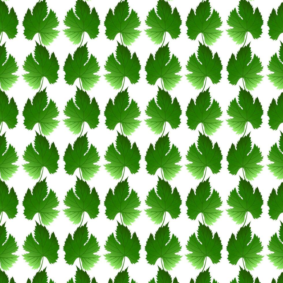 sin costura modelo uva hojas. verde hoja. vector ilustración