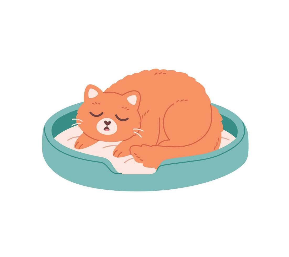 linda gato dormido en gato cama. hogar gato vida, gatos suministros, felino ocupaciones vector