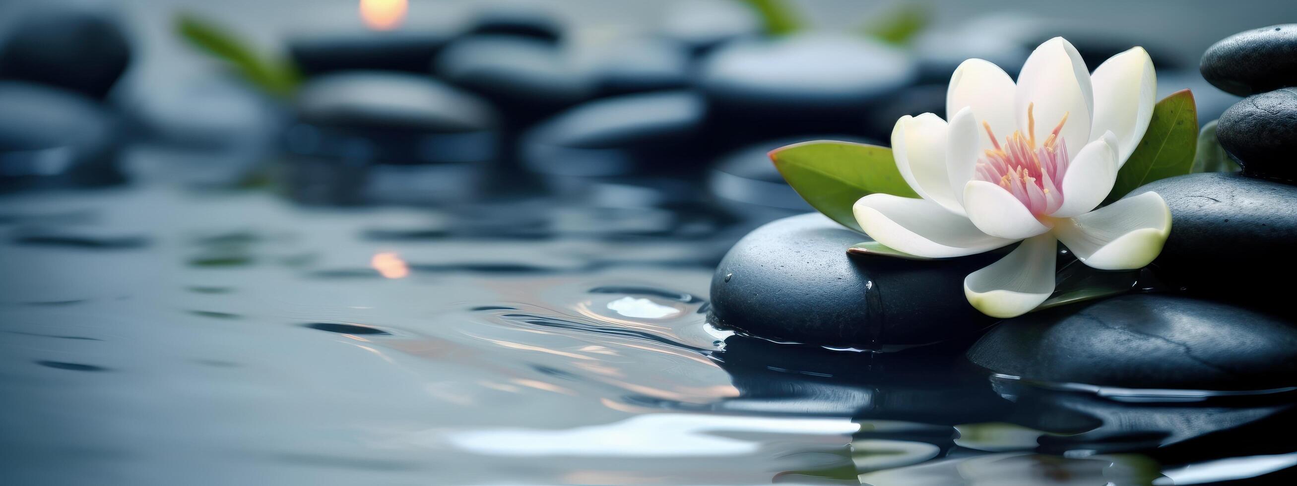 Spa Still Life with Stones and Flowers in Serenity Water. Natural Alternative Therapy. photo