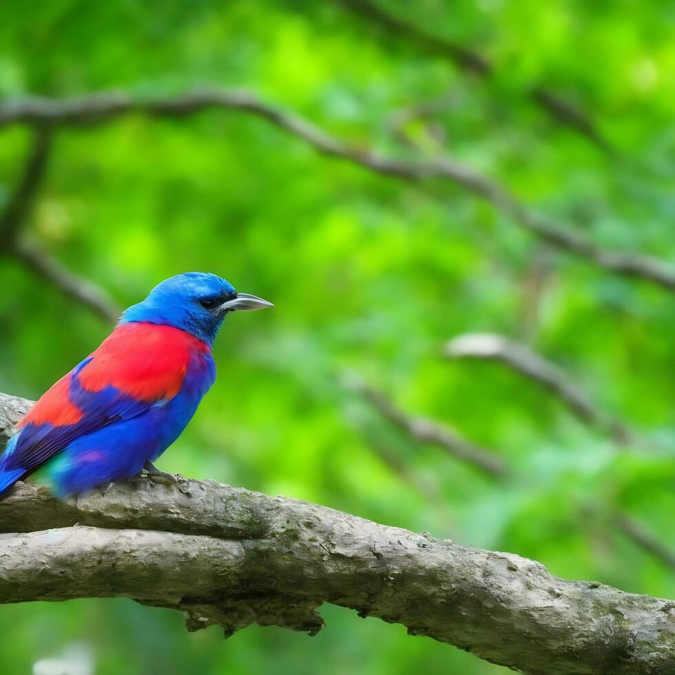 Free photo a colorful bird sits on a branch in the forest