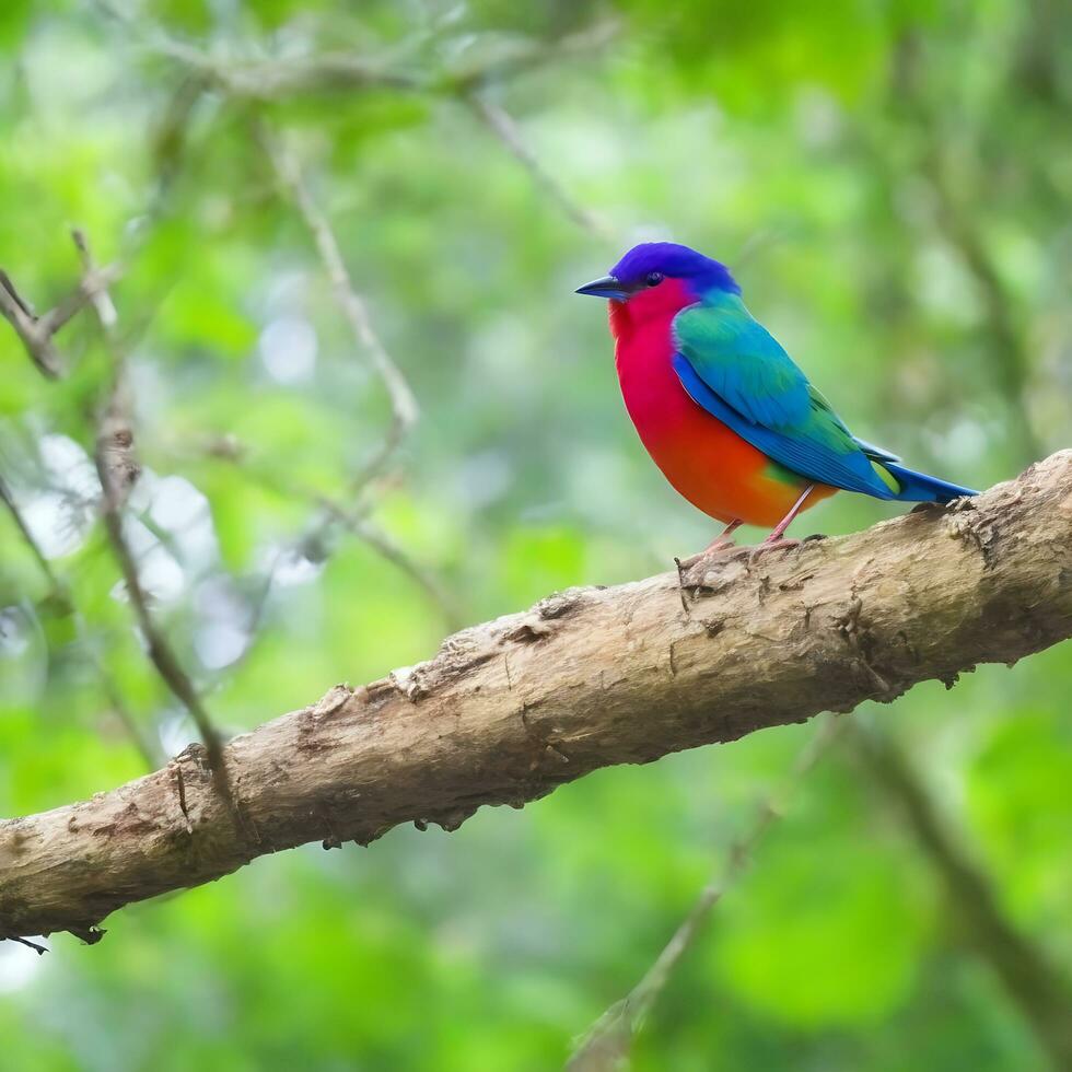 Free photo a colorful bird sits on a branch in the forest