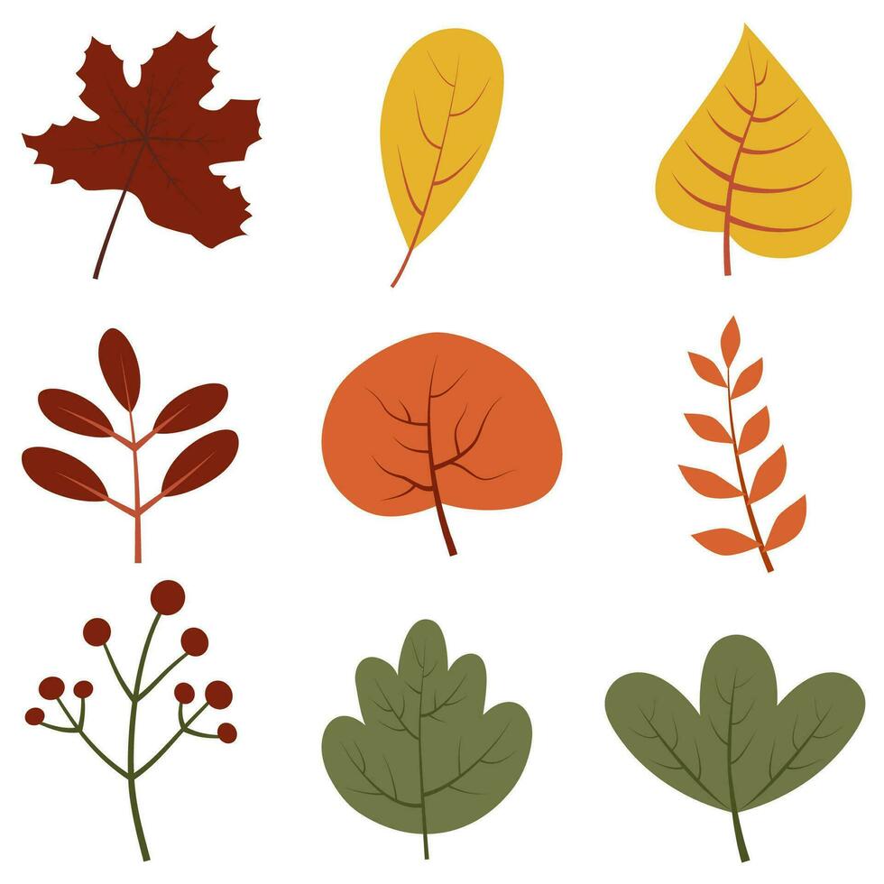 autumn single leaves vector