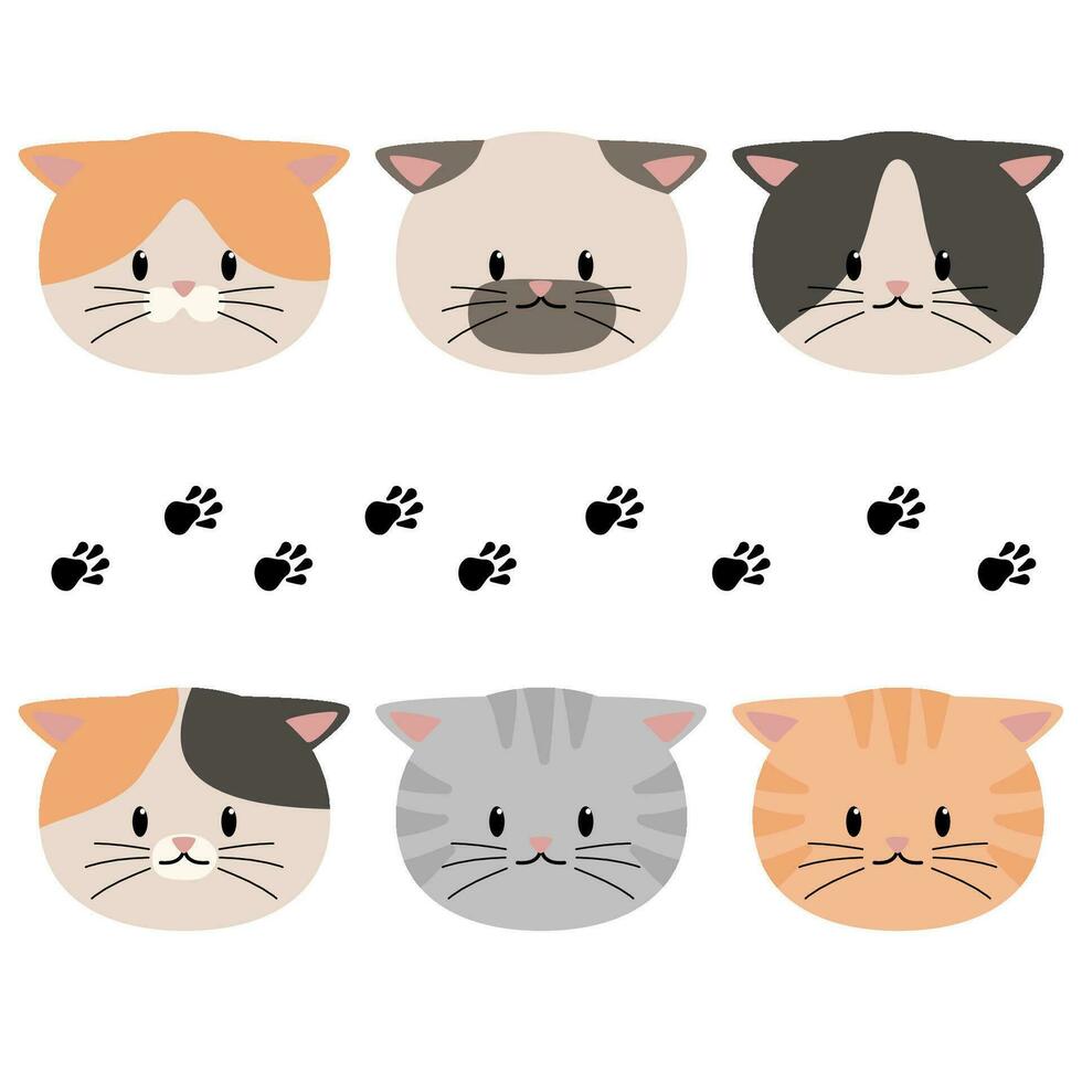 cat cute sit vector