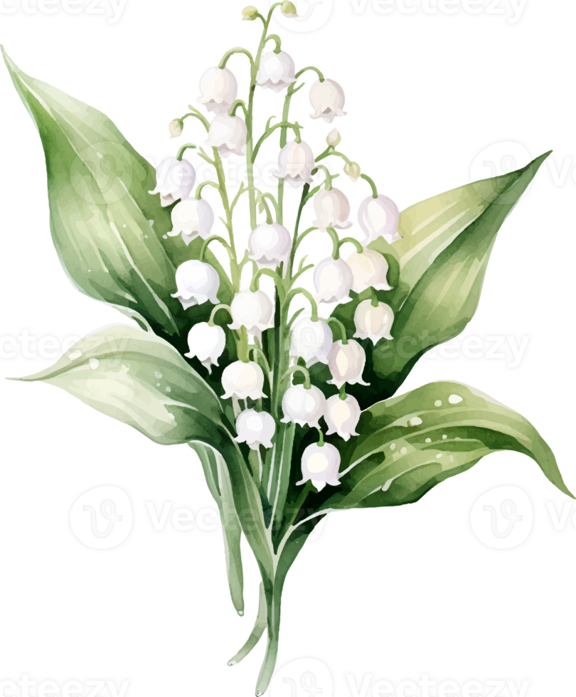 Lily of the valley flowers watercolor ai generate png