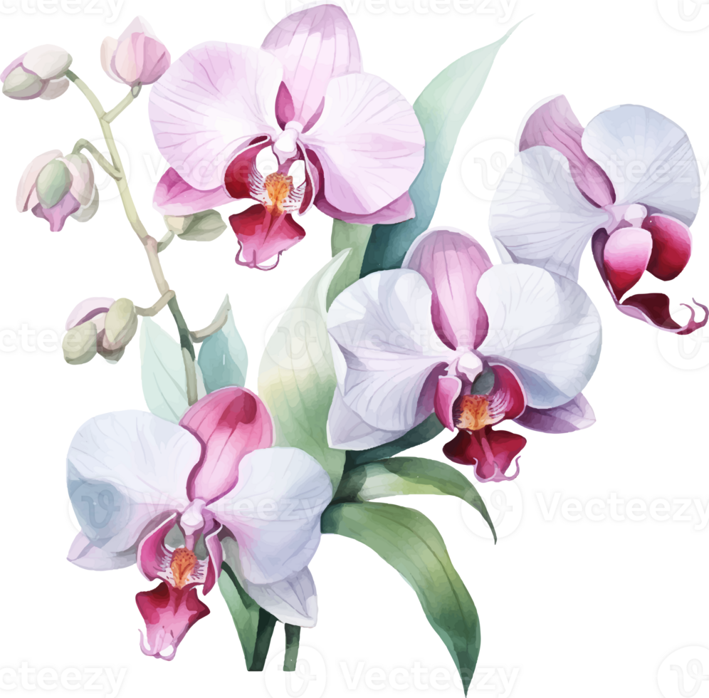 orkidéer blommor vattenfärg ai generera png