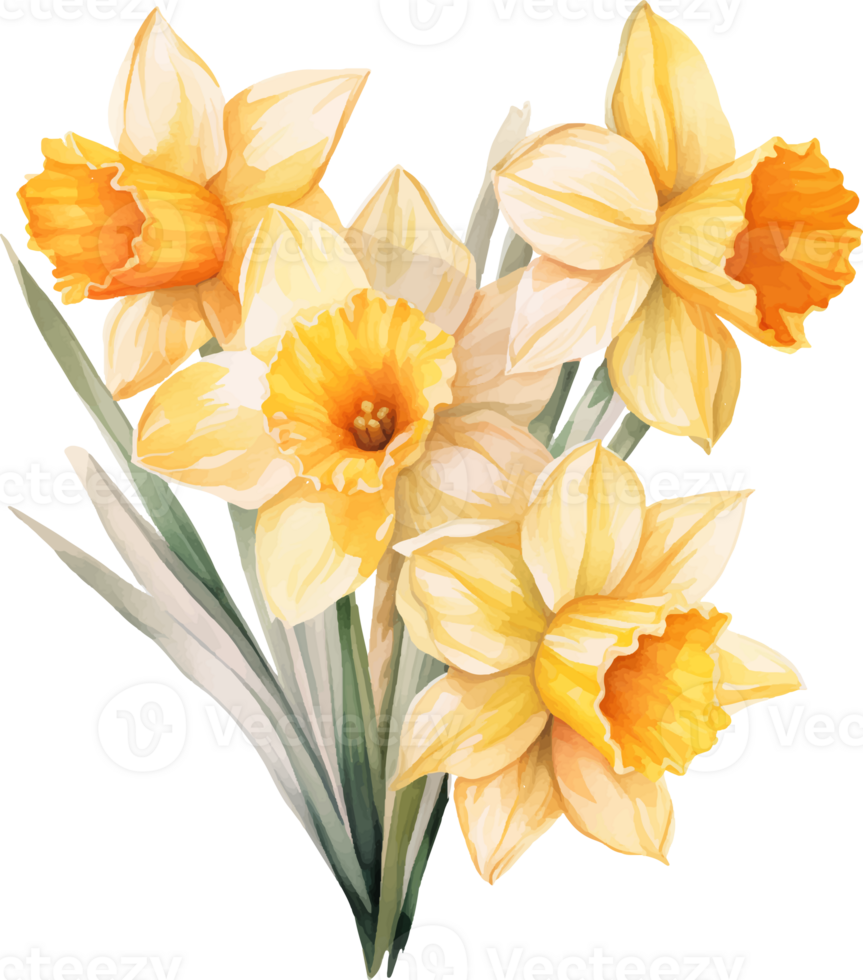 Daffodils flowers watercolor ai generate png