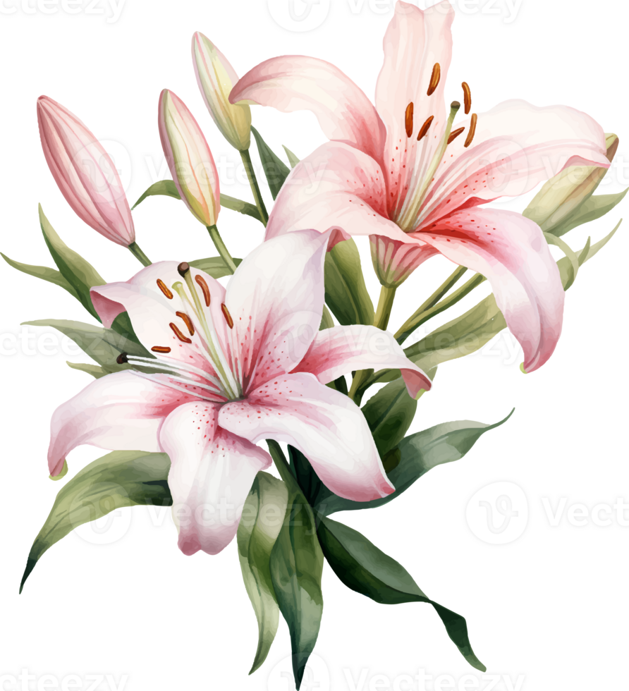 Lilies flowers watercolor ai generate png