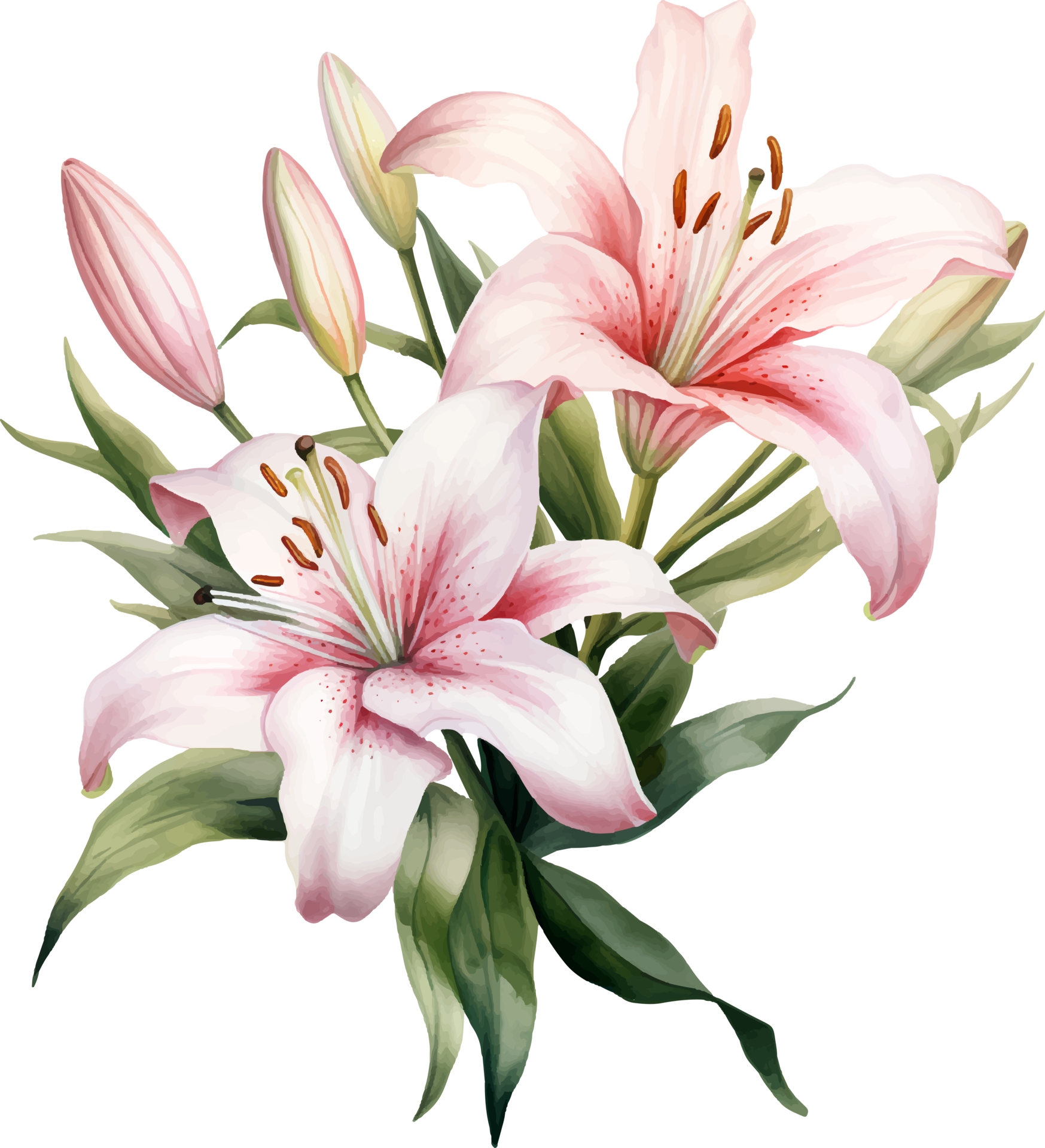 Lilies flowers watercolor ai generate 25860347 png