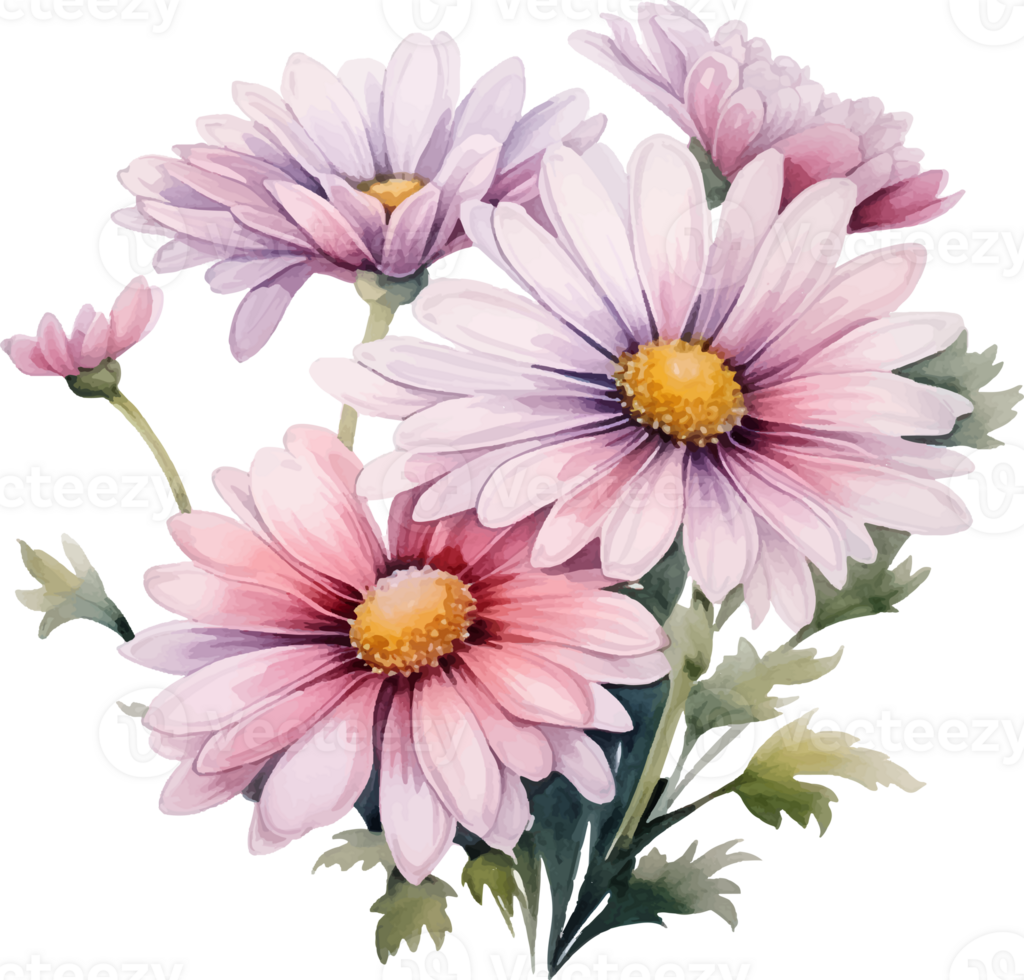 Daisies flowers watercolor ai generate png