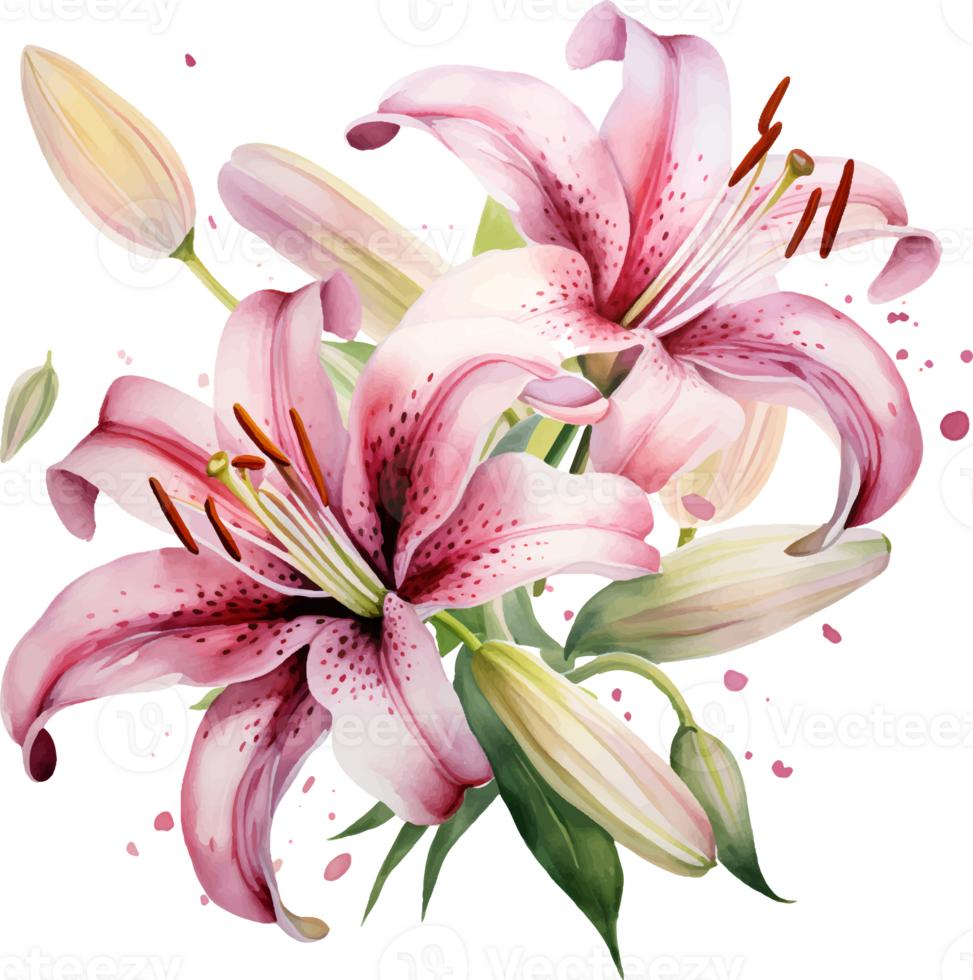 Lilies flowers watercolor ai generate png