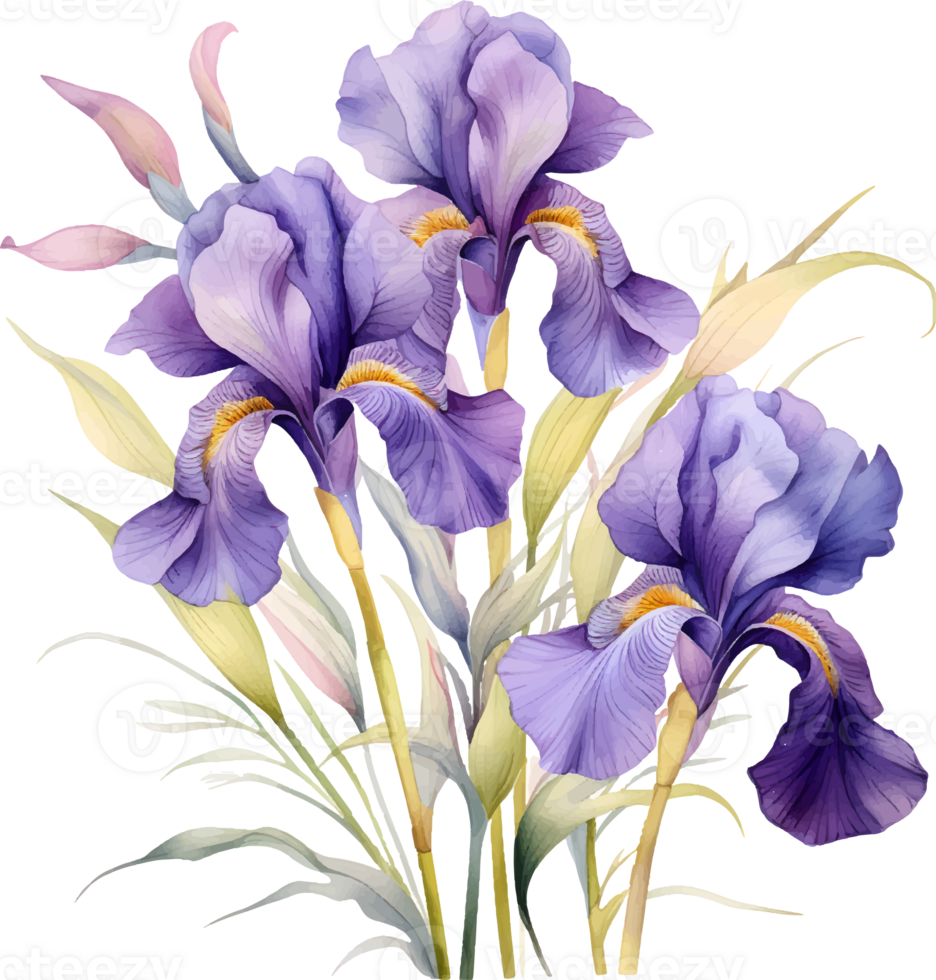 Irises flowers watercolor ai generate png