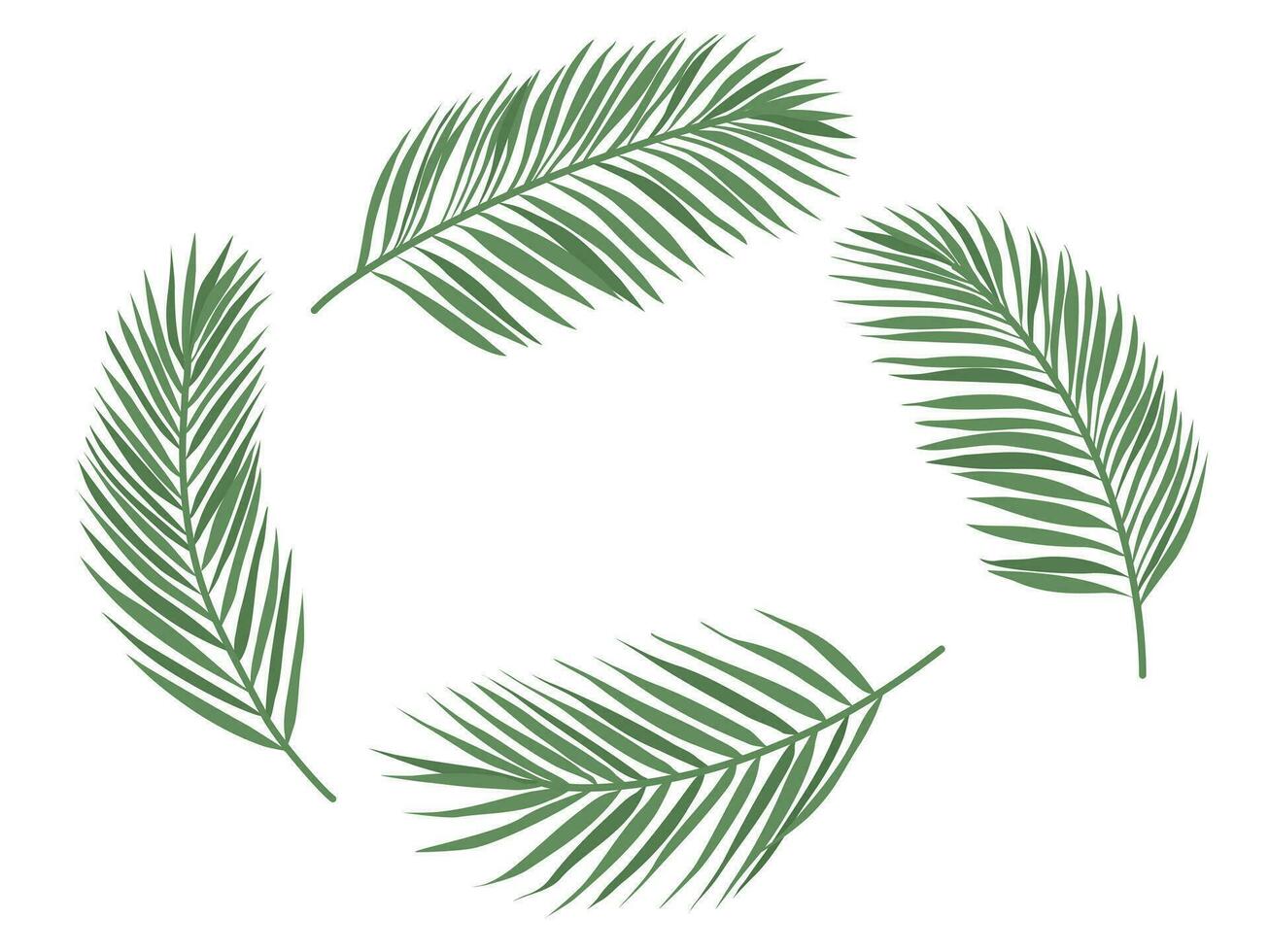 Set of Palm Leaves. Floral Background. Vector illustration