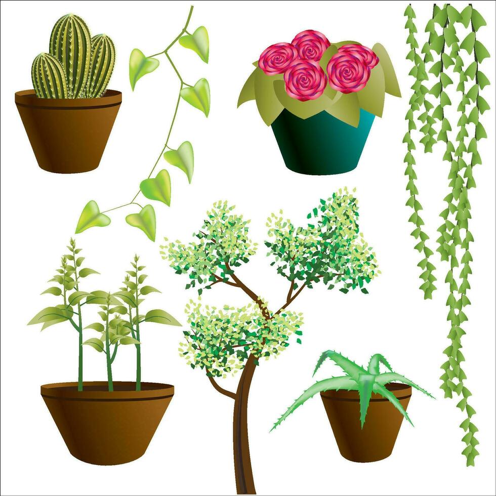 conjunto de plantas. árbol. cactus. áloe Vera. flores vector