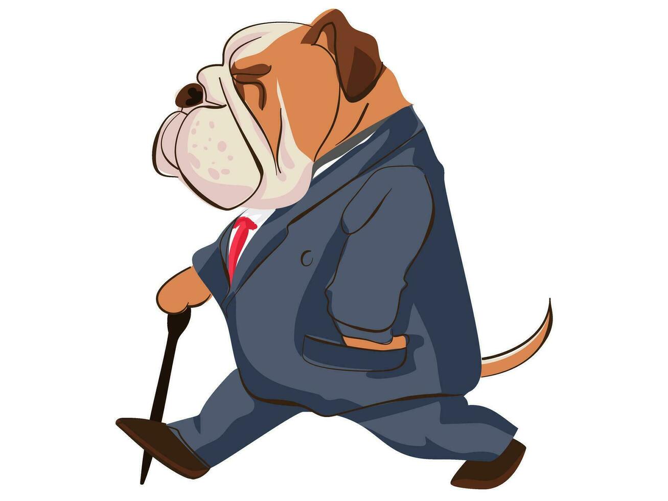 Illustration of old Bulldog walking with stick wearing a suit like a rich businessman people vector