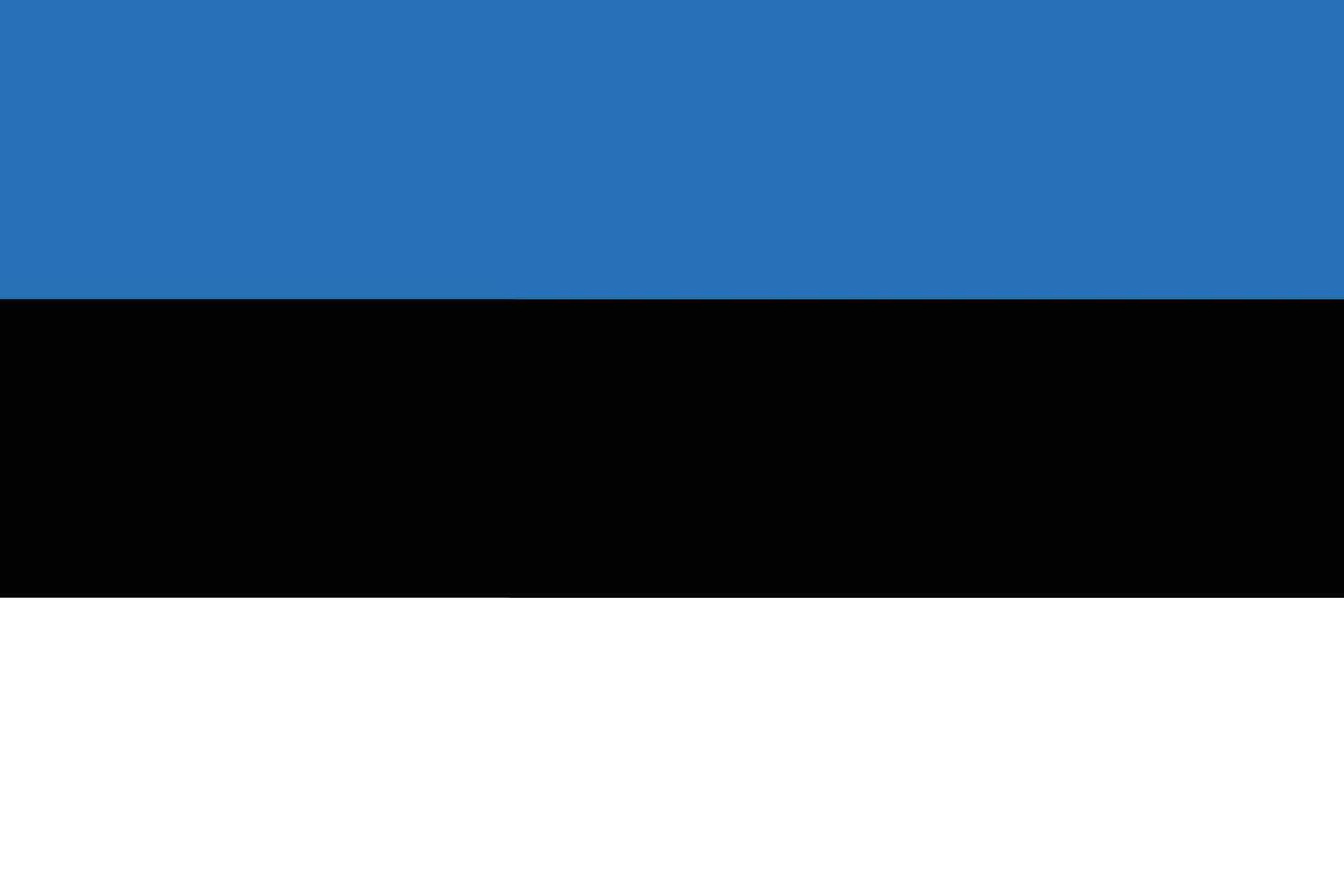 Flag of Estonia shape. Estonia flag design shape vector