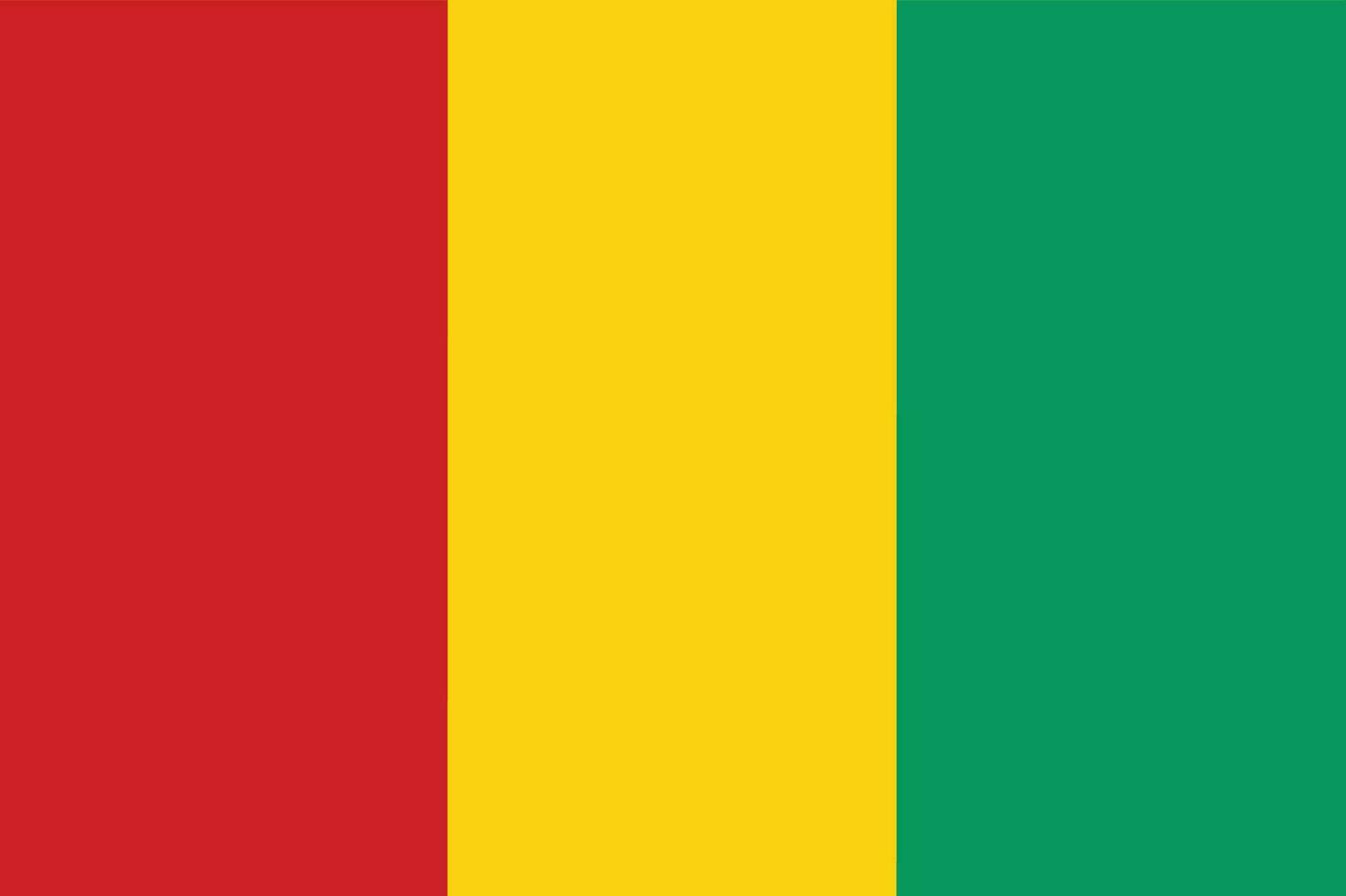 Guinea flag. flag of Guinea design shape vector