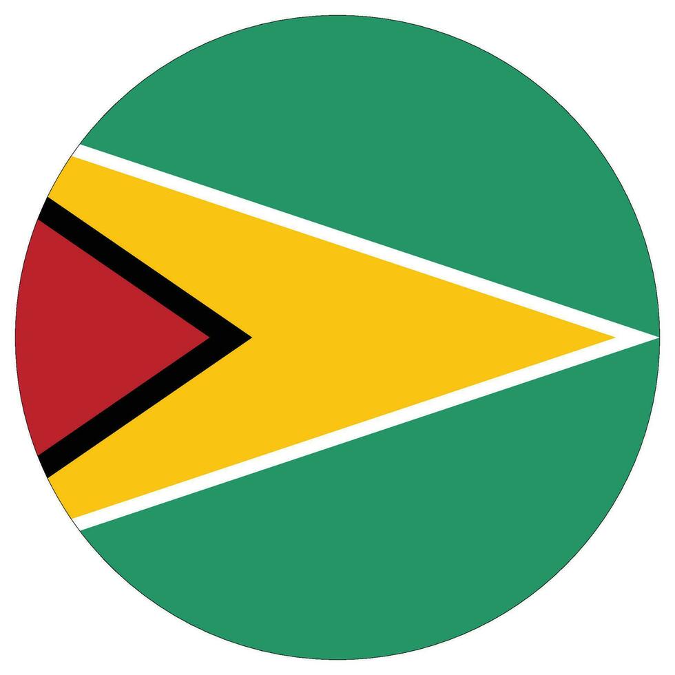 Guyana flag. Flag of Guyana design shape. vector